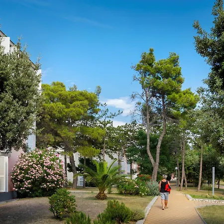 San Marino ロパール