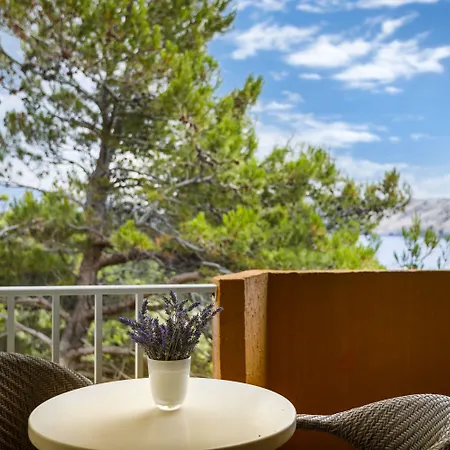 San Marino 호텔 3*